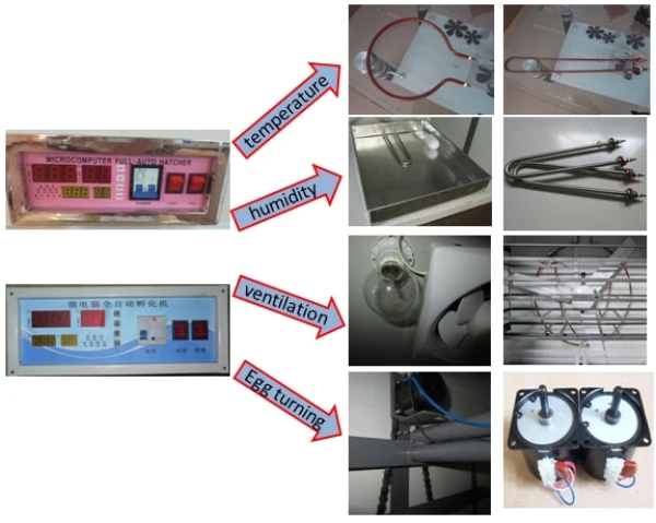 

Automatic poultry egg incubator 500 chicken egg hatching machine price