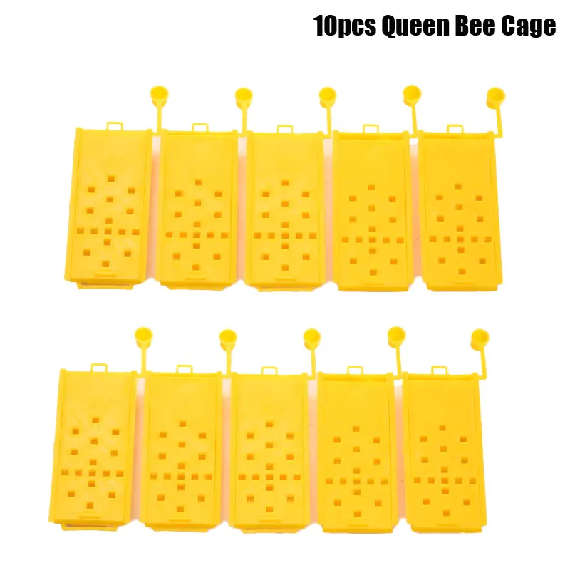 

10pcs Portable Beekeeping Bee Queen Rearing Cage Transport Cages Plastic Tool