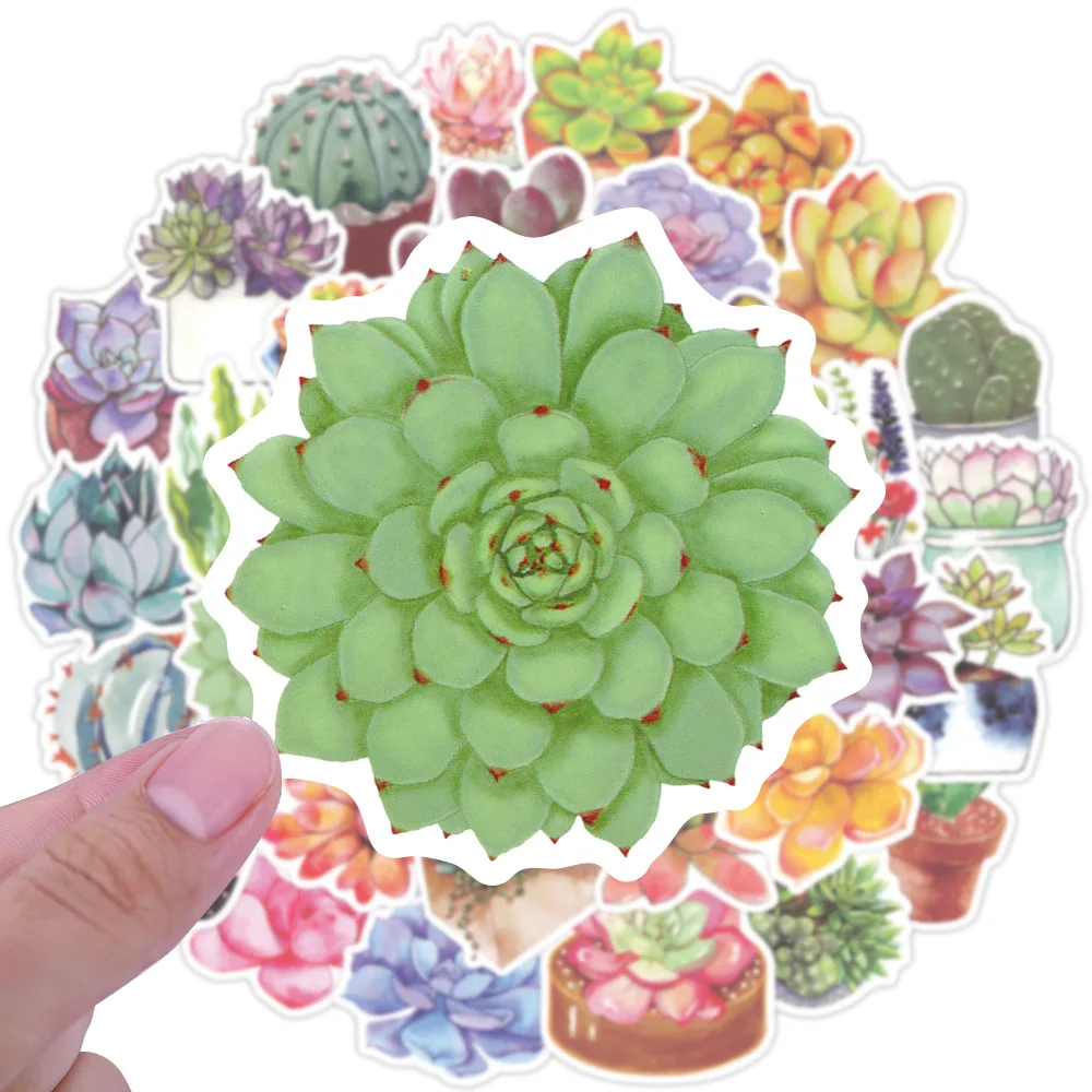 Наклейки с суккулентами для скейтборда гитары ноутбука чемодана телефона