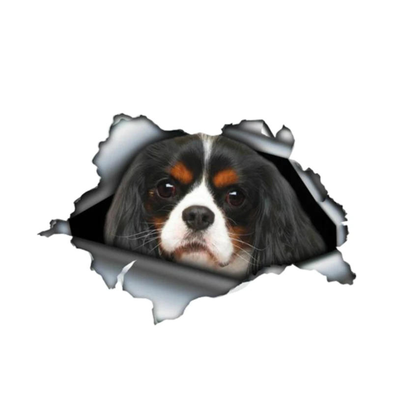 

13cm*8cm Cavalier King Charles Car Sticker Personalized Sunscreen Decal Motorcycle Auto Accessories Decoration PVC