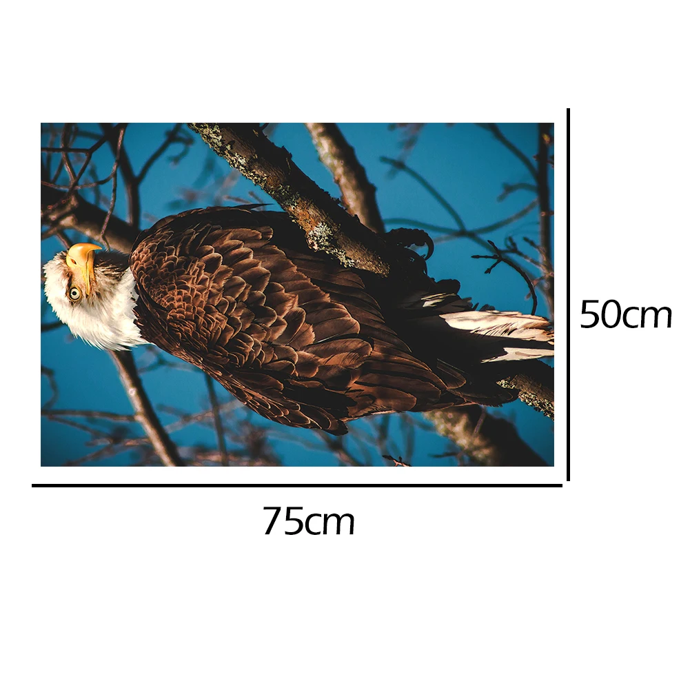 

Educational Toy Jigsaw Puzzles DIY Eagle Picture Child Adults Kids Portable Gift for Children Early Learning Supplies