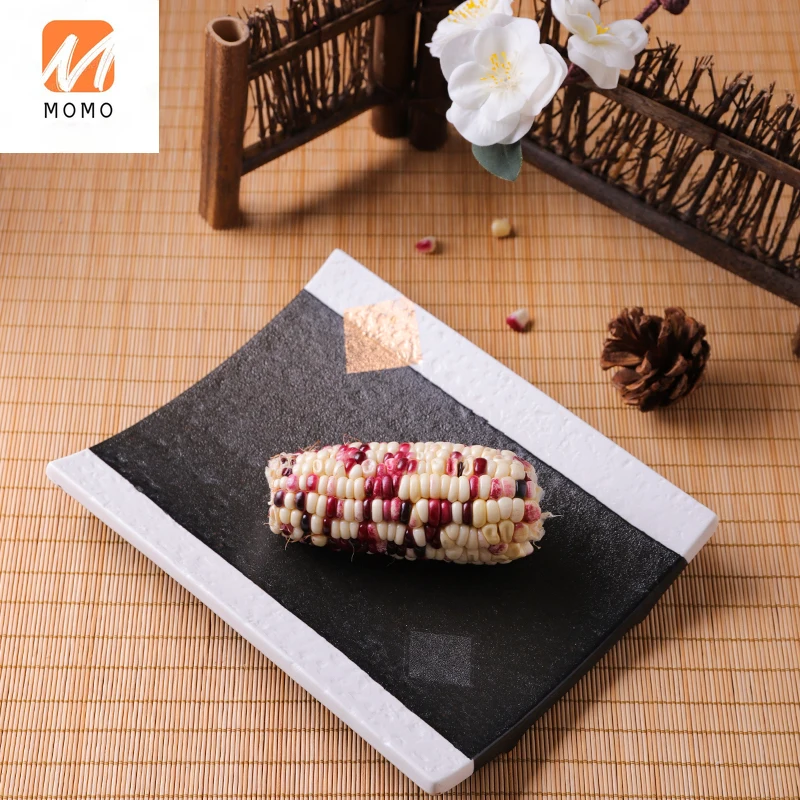 

Tableware Creative Hotel Tile Plate Kebabs Plate Special Dish Plate Daily Food Bird Burning Plate Sushi Plate