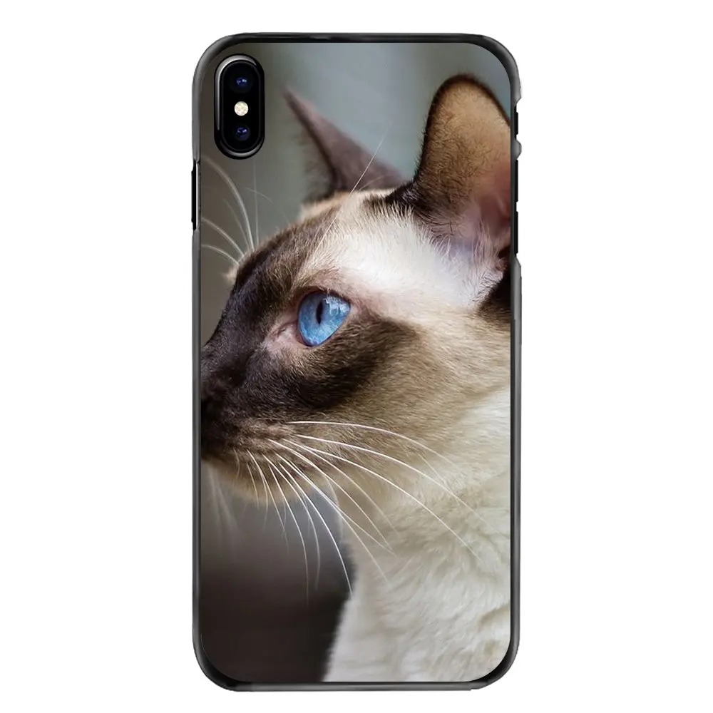 Blue Point The Traditional Siamese Cat For Samsung Galaxy A3 A5 A7 A8 J1 J2 J3 J5 J7 Prime 2015 2016 2017 Accessories Case Cover |