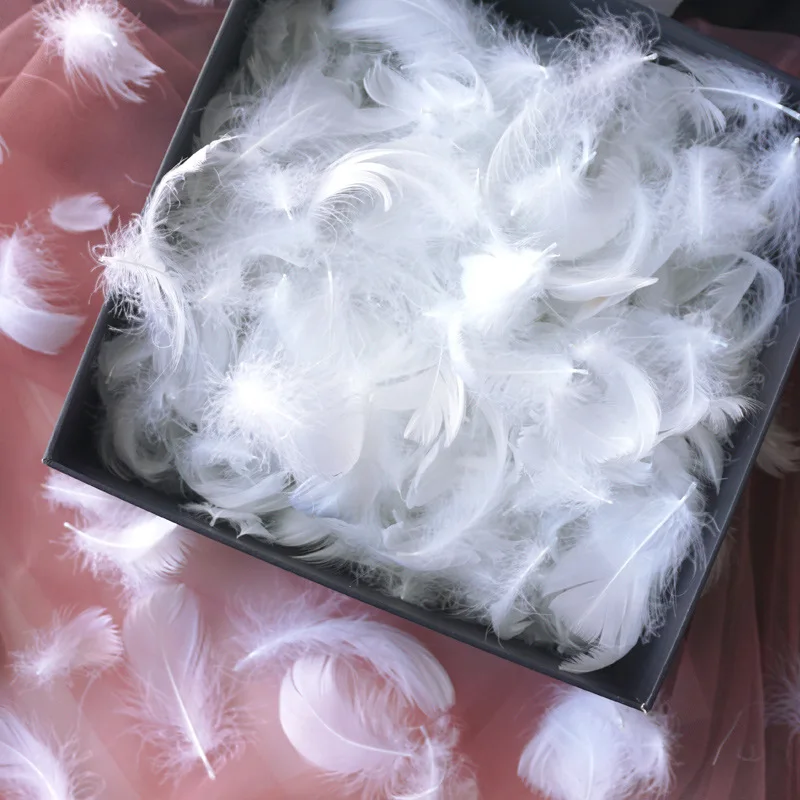 100pcs White Pink Swan Feather Plumes Natural Goose Feathers Floating For Gift Boxes Filler Supplies DIY Wedding Home Decoration
