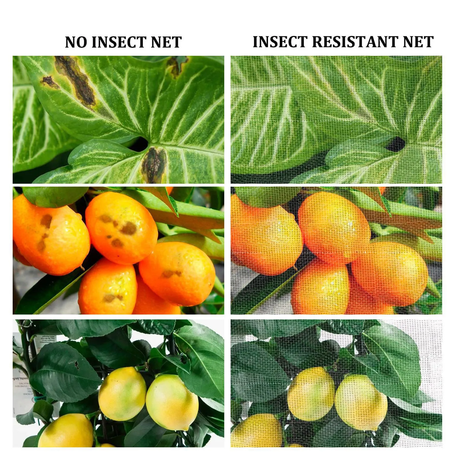 

Garden Insect Net Plant Cover Is Used To Protect The Flowers Of Plants From Damage 55x75cm/60x95cm/70x105cm/105x140cm