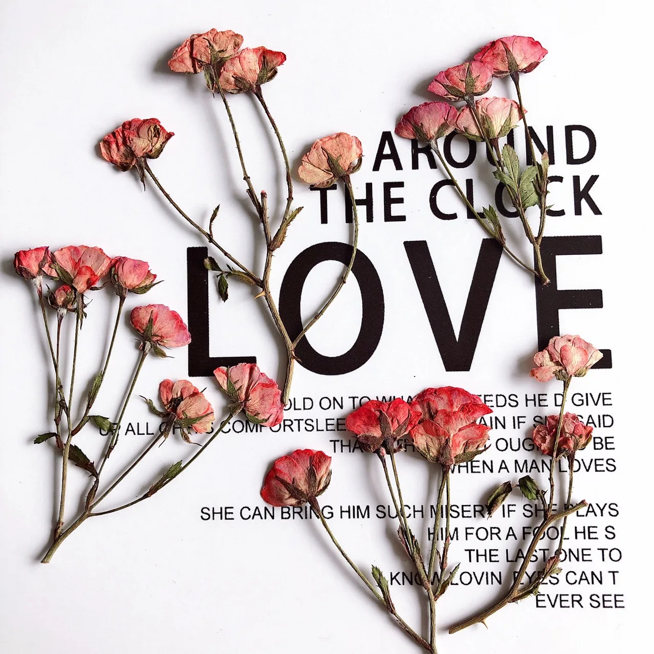 12 штук в партии 4-6 см природа прессованный высушенный розовых роз с цветами