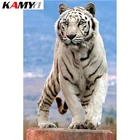5D алмазная вышивка сделай сам, картина из тигра, алмазная живопись, вышивка крестиком, мозаика, квадратныекруглые алмазные украшения
