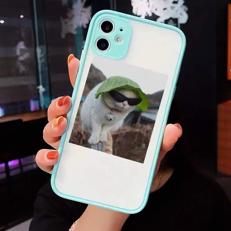 

Cute Cats New Year Gifts Phone Cases Matte For iPhone 12 Mini 11 Pro XR XS Max 7 8 Plus X Hard PC Back Cover
