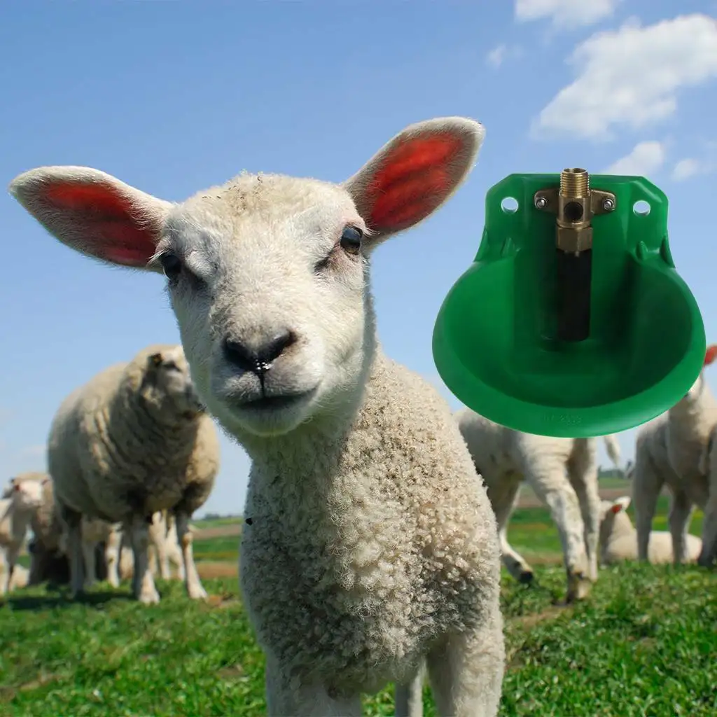 Auto Sheep Drinking Bowl Drinker Automatic Drink Water Outlet For Cattle Pig Dispenser Cup Feeders Farm Animals Equipments | Дом и сад