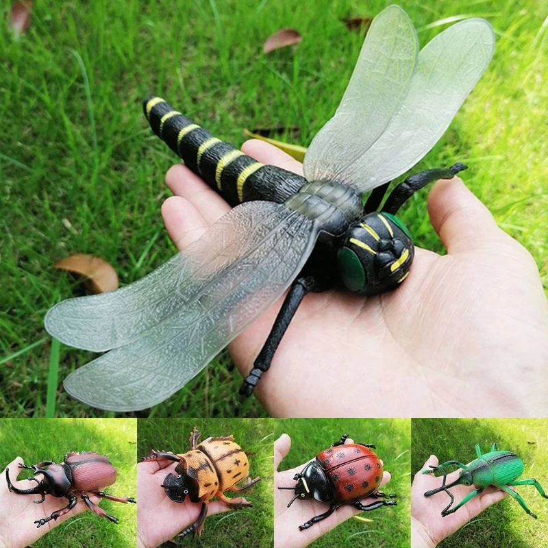 

Реалистичная модель, украшения, фигурка насекомого, Детский обучающий реквизит, украшение сцены, Spoof Toy Garden Decor