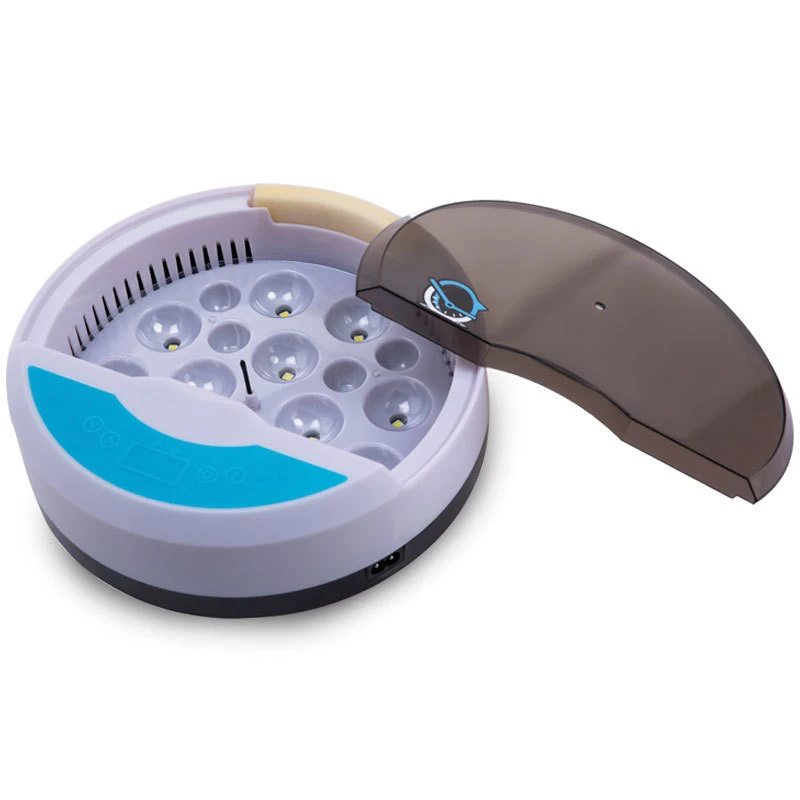 

Chicken Duck Semi-Automatic Mini Science Education Incubator