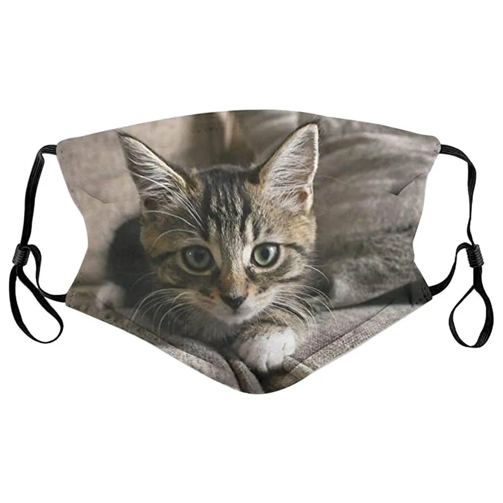 

Cute 3D Cat Printing Face Mask Adult Dustproof Mouth Face Mask Children Breathable Mouth-muffle Party Cosplay Fast Shipping #LR4