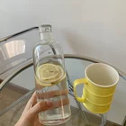 Стеклянная бутылка для воды с индикатором времени, 500700 мл