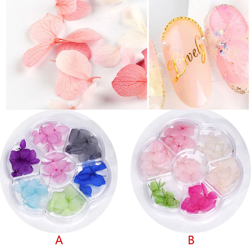 

1 box 35pieces Natural small leaf Hydrangea Dried flowers, nail stickers Pressed flowers glass globe fillers nail accessory,HJJK