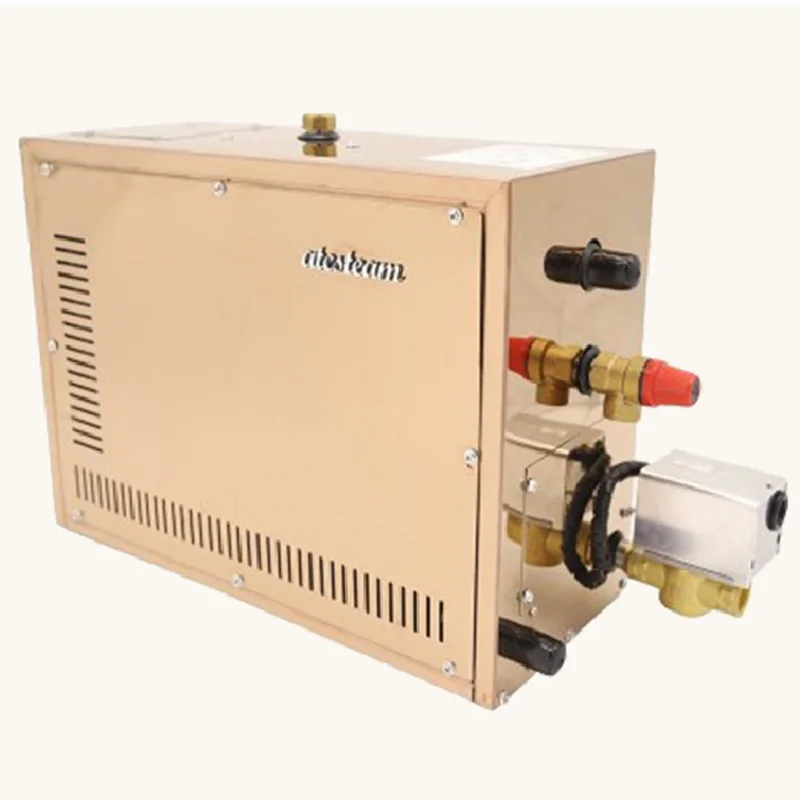 Автоматический парогенератор из нержавеющей стали 3 кВт бытовой паровой аппарат