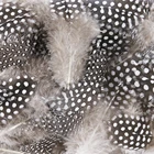 50 шт. натуральные перья птицы Пятнистые Перья Куриные перья Чайка удлиняющие перья для ювелирных украшений декоративные перья 5-10 см