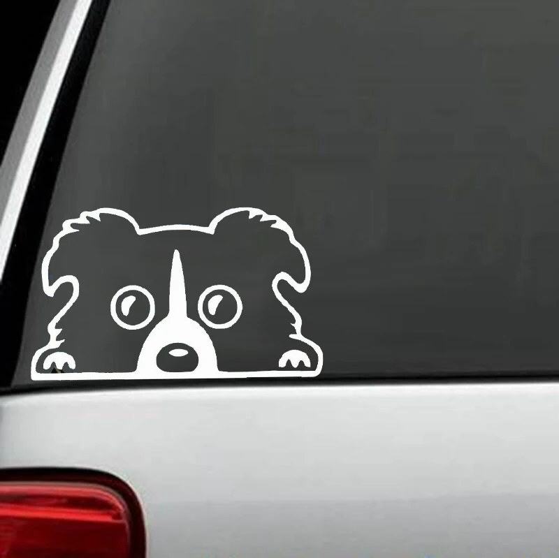 6 &quotWide Boarder Collie Peeking Out Window Виниловая наклейка для автомобиля собак домашних