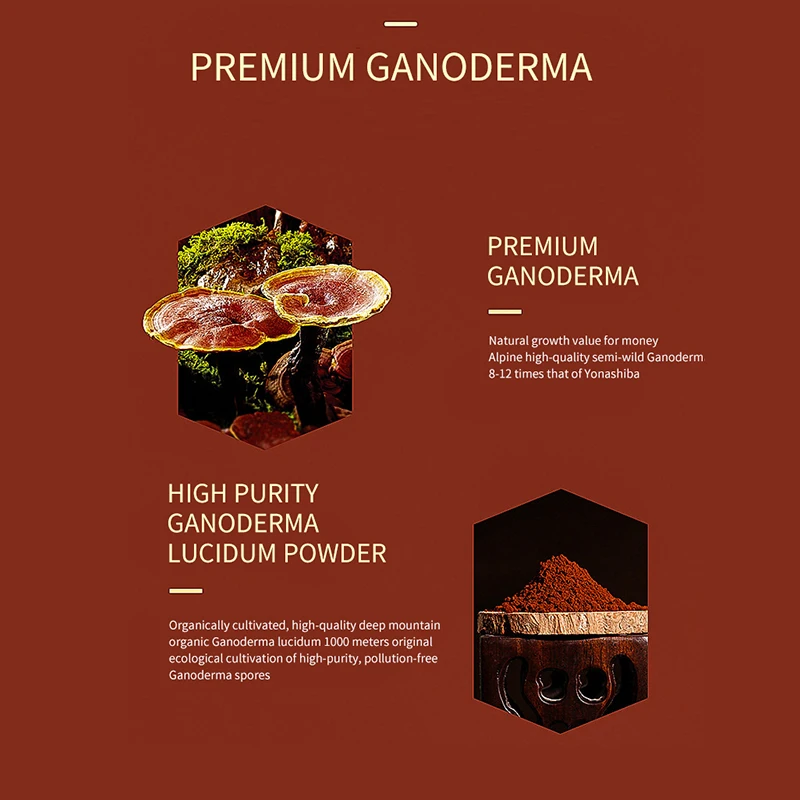 

GANOHERB 5 Boxes Free Delivery Organic Ganoderma Tablets Naturally Rich In Nutrition Top-cultivated Regions Log-cultivated