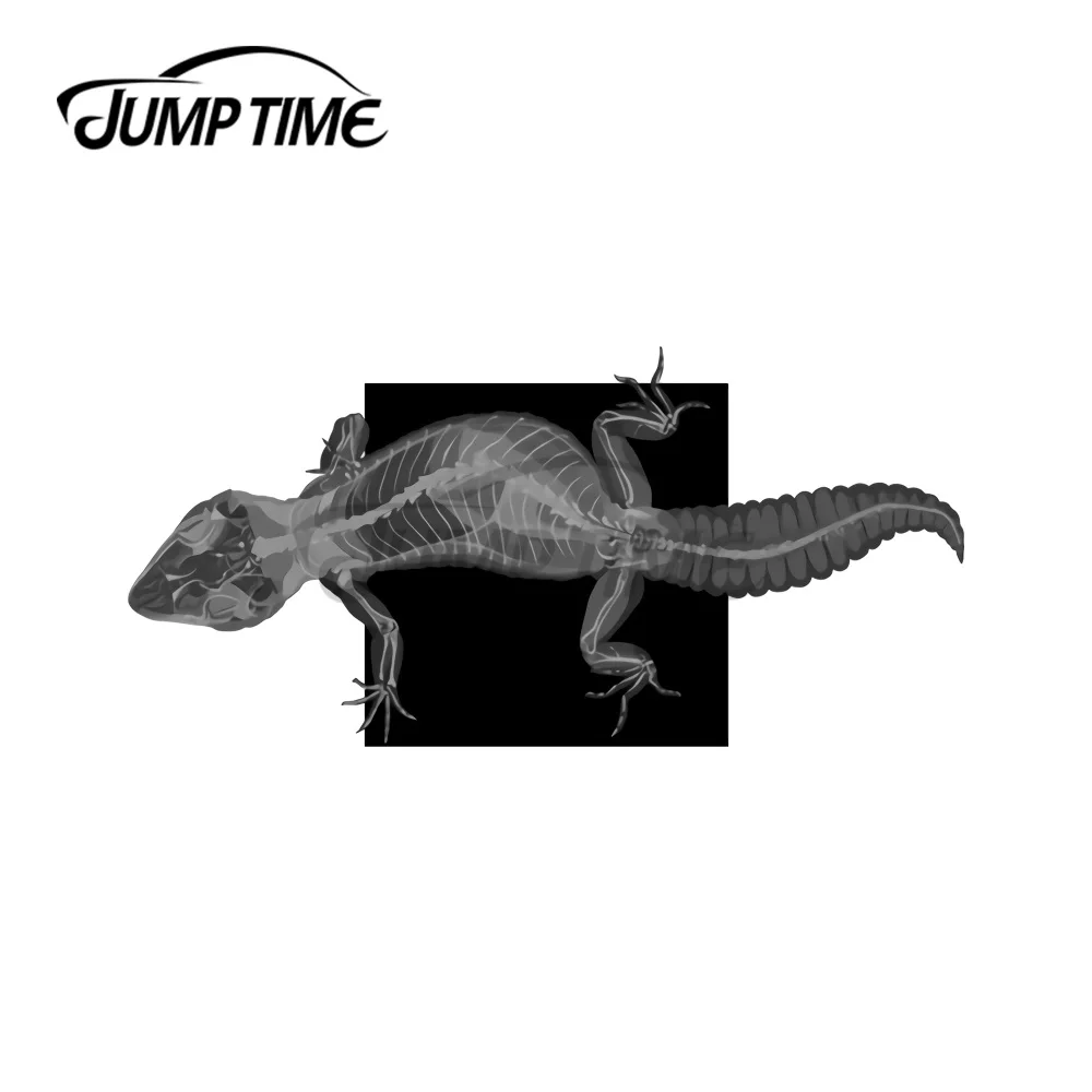 

JumpTime 13x6,2 см для леопарда, Гекко, скелет, отличная наклейка, оригинальная креативная наклейка, водонепроницаемый Декор