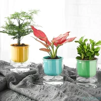 macaron colorful transparent plastic flower pot resin plant flower pot garden home office decor flower pot