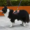 Изображение товара 4
