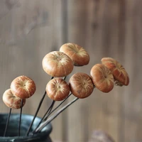 natural mushroom handmade plants immortal bouquet diy material dried fruits decorative art home decor shooting props ornaments