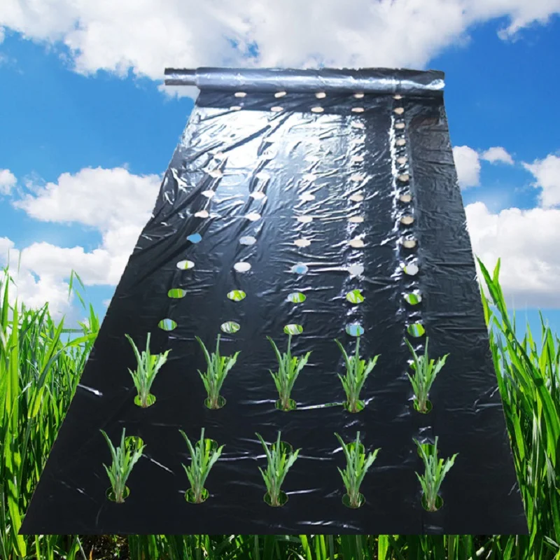 

0.02mm 5Holes Black Film Hi-Quality Vegetable Garden Plants Grow Films Protection Cover Greenhouse Perforated PE Mulch Film