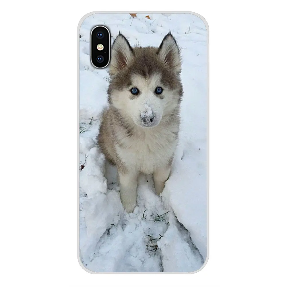 Accessories Phone Cases Covers For Samsung A10 A30 A40 A50 A60 A70 Galaxy S2 Note 2 3 Grand Core Prime Christmas Dogs Husky | Мобильные