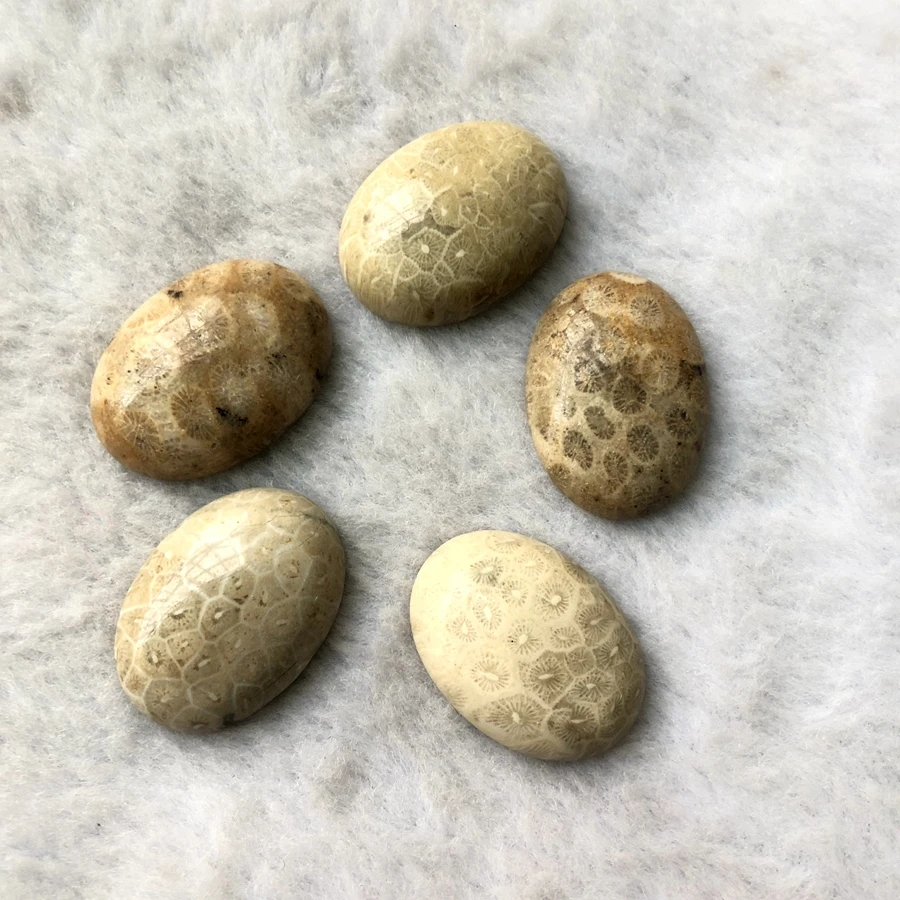 

Wholesale 2pcs 100% Natural Coral Fossil Jasper Bead Cabochon 22x30mm Oval Gem Cabochon Ring Face for Jewelry