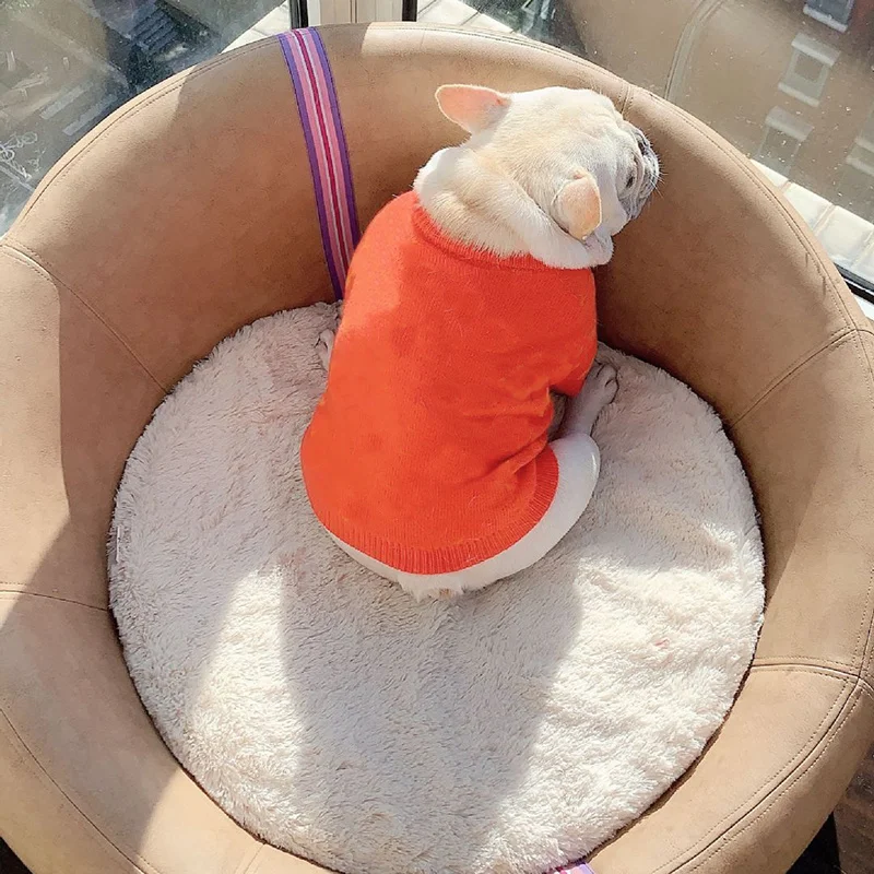 Свитеры с изображением милой собаки Модная элегантная одежда принтом для