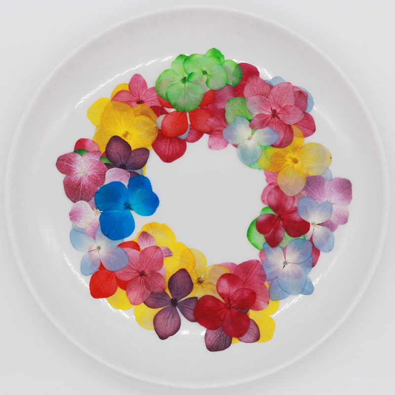 Гортензия сухой цветок DIY тиснение лепесток помпон цветы растения искусственные