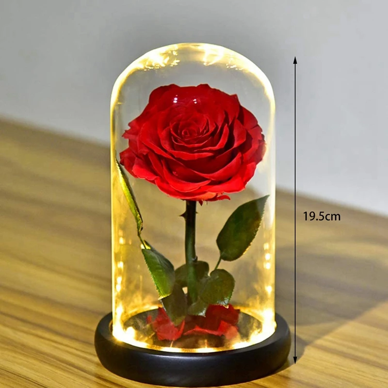

2 Pcs Rose That Eternal Forever Preserved Flowerin Glass Dome LED Light for Valentine'S Mother'S Day,Red & Colorful
