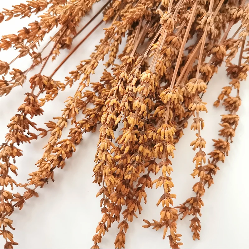 

1 Bouquet Lavender Natural Dried Flowers Bouquet For Wedding Party Decoration Immortal Flower Decor DIY Garden Living Room Decor