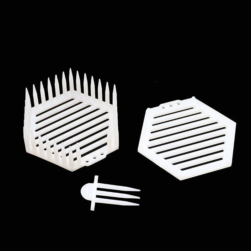 

20PCS Beekeeping Tool Bee Queen Cage Bees Catcher Apiculture Cages Cell Box Equipment Tools Plastic Hexagonal Beekeeper Supplies