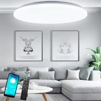 Ceiling led lighting lamps RC dimmable have remote control  modern bedroom living room lamp surface mounting balcony ceiling