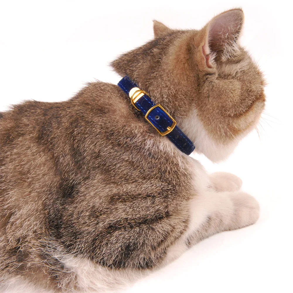 Cat Collar With Bell Safety Collars Puppy Dog For Cats Small Dogs Kittens Solid Pet Chihuahua Products | Дом и сад