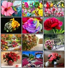 5D DIY полный круг Алмазная картина Роза Ваза с садовым алмазным крестом Алмазная вышивка мозаика украшение для дома подарок