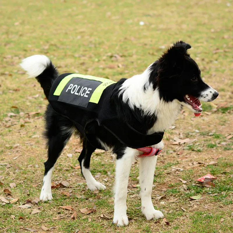 Жилет для собак Одежда больших индивидуальное пальто куртка костюм Золотистый
