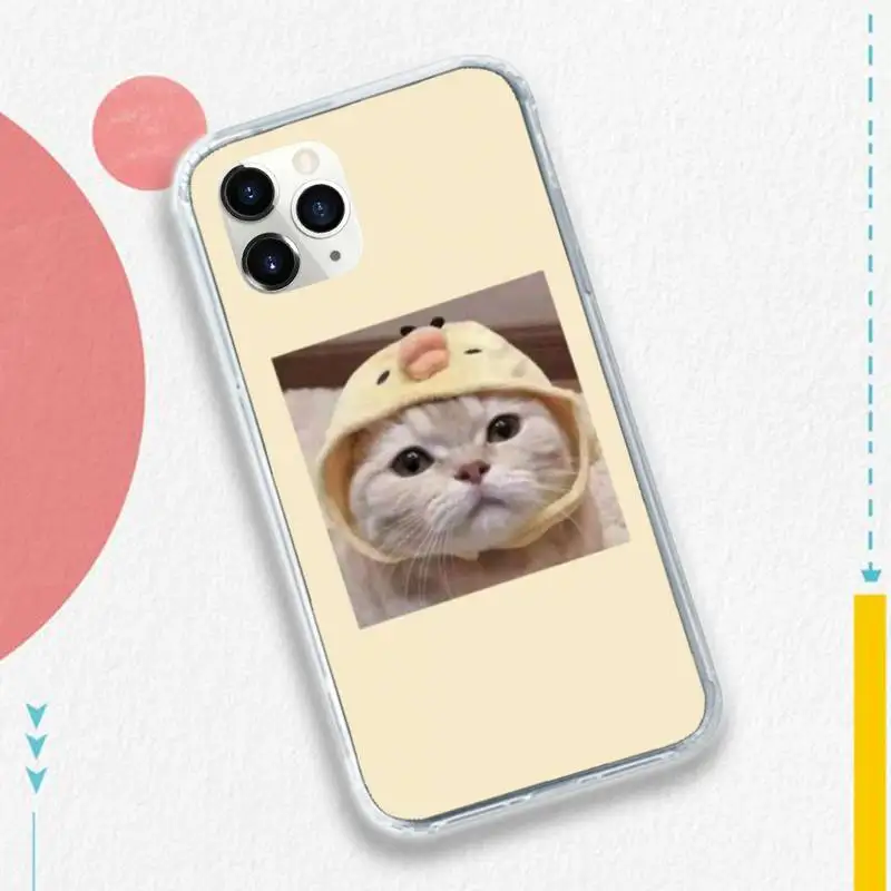 

Aesthetic Cute Animal Cat Phone Case for iPhone 11 12 pro XS MAX 8 7 6 6S Plus X 5S SE 2020 XR
