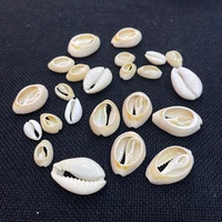 exquisite natural small shell pendant thin sliced charm shell beads 15 25mm for diy jewelry making home decoration wind chimes