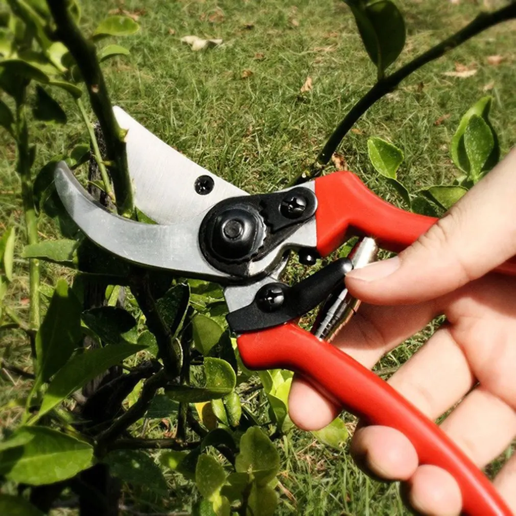 

Red Handle Gardening Cutting Braches Fruit Tress Farm Garden Scissors Cutter Picking Fruit Flowers Farming
