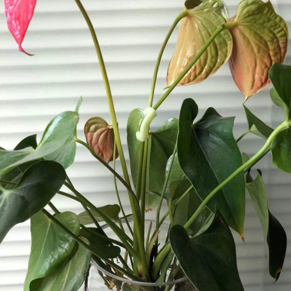 1 комплект из 10 шт. 90 градусов завод блендер помощник для сада (красный