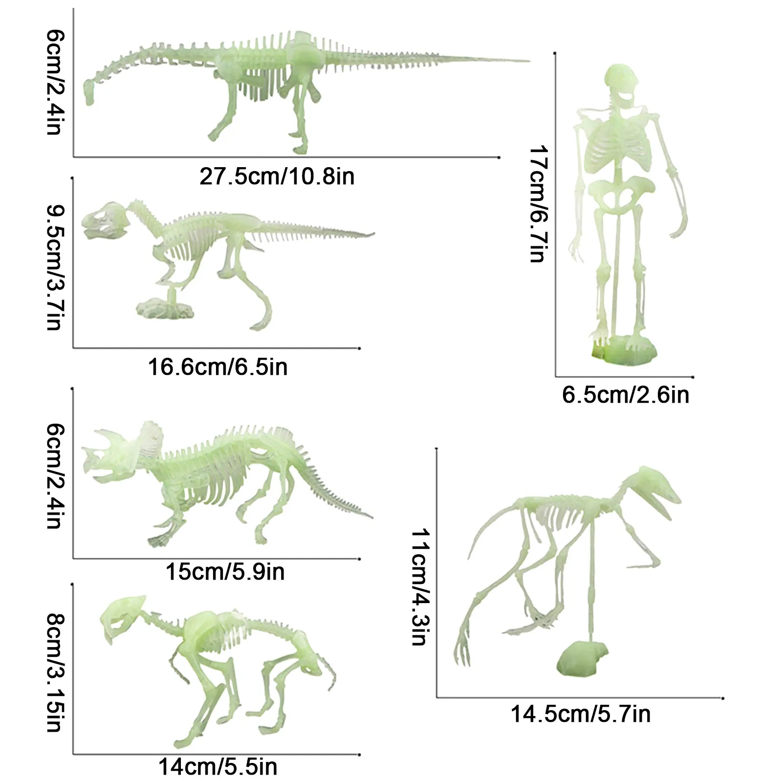 

1/6PCS Home Decoration Accessories Noctilucent Dinosaur Model Human Skeleton Model Funny Assembly Skull Bones Decor Home