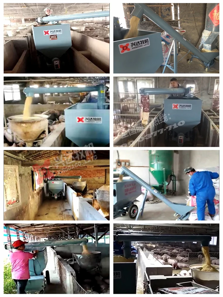 

Pig Feeding Cart Pig Farm Automatic Feeding Cart Automation Pig Equipment
