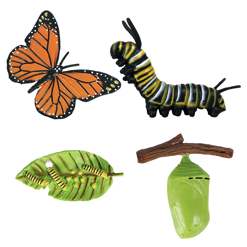 

Nature Butterfly Growth Figures Playset Pre-school Early Education Learning Play