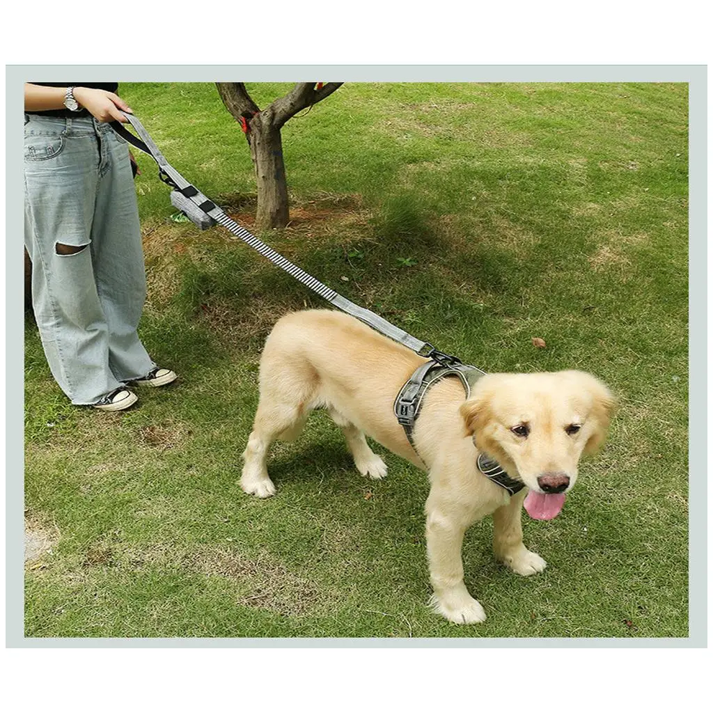 Pet Puppy Cat Pick Up Poop Bag Dispenser переносная сумка для собак держатель домашних животных
