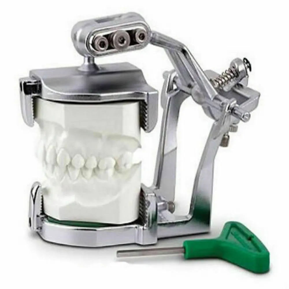1-5 قطعة مختبر الأسنان قابل للتعديل المفصلية المغناطيسي نموذج لشكل الأسنان المفاصل الفم الكامل A2 نوع اللون الأخضر