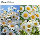 Алмазная вышивка 