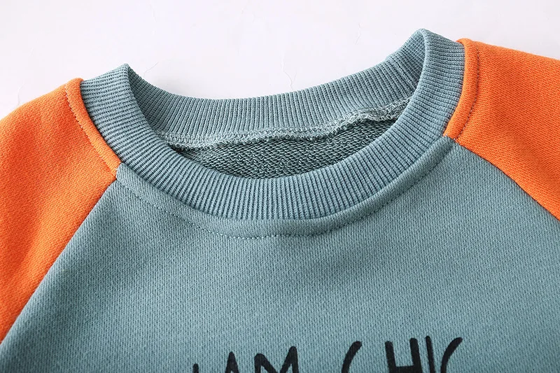 Комплект детской одежды на весну и осень футболка штаны с буквами Щенок для