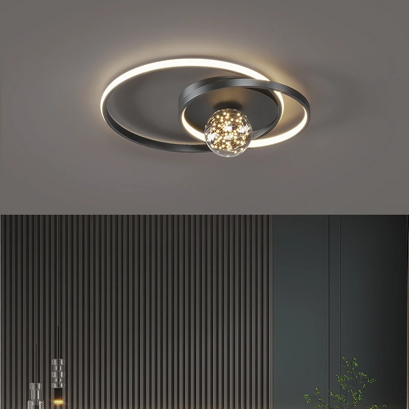 

Double ring LED Ceiling lamp for Bedroom kitchen Living room Dining room Fashion Ceiling lighting Indoor home lamp Aisle lights